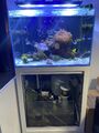 Meerwasseraquarium 200L Komplettset