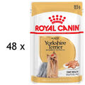 (€ 12,98/kg) Royal Canin Breed Yorkshire Terrier Adult Wet Nassfutter 48 x 85 g