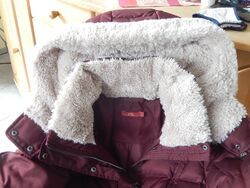 Damen Winterjacke edc by Esprit, Gr. L, mit Teddykragen und Kaputze, weinrot