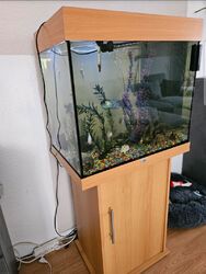 juwel aquarium lido 120