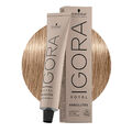 Schwarzkopf Igora Royal Absolutes 8-140 Cendrè Naturbeige Hellblond  60ml