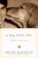 A Big Little Life: A Memoir of a Joyful Dog by Koontz, Dean R 1401323529