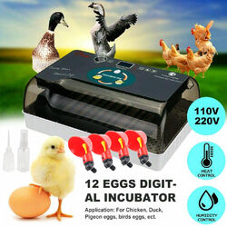7in1 Vollautomatische Brutmaschine Brutapparat Flächenbrüter Inkubator 12 Eier