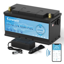 Bluetooth Lithium Batterie 12V 100Ah LiFePO4 Smart Akku Wohnmobil 15000+ Zyklen