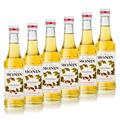 6x Monin Haselnuss / Noisette Sirup, 250 ml Flasche