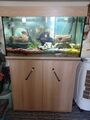 aquarium komplett mit unterschrank gebraucht Pumpe Dazu Futterautomat Usw.