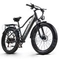 1000W Elektrofahrrad 26 Zoll EMountainbike City E bike 48V 20AH EFahrrad Pedelec