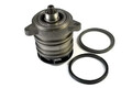 Wasserpumpe mechanisch D1W041TT THERMOTEC für VW MULTIVAN T5 TRANSPORTER T5 Bus
