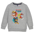 Nickelodeon Paw Patrol Jungen Kleinkinder Sweatshirt Pullover Gr. 92 98 104 110