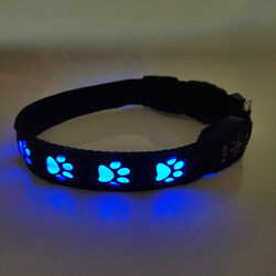 Leuchthalsband LED-USB Hund Leuchtschlauch Hundehalsband USB für Hunde  S-M N7H8