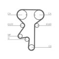 CT975WP2 CONTINENTAL CTAM Wasserpumpe + Zahnriemensatz