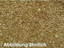 (EUR 3,33 / kg Leinsamen gold/gelb 1A Qualität für Pferde und Vögel 3 kg