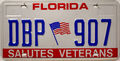 Florida USA Nummernschild Kennzeichen US Sternenbanner Motiv License Plate [DBP]