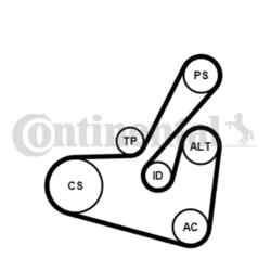 Keilrippenriemensatz CONTINENTAL CTAM 6PK1750K1 für Renault Citroën Peugeot Fiat