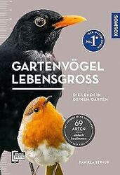 Gartenvögel lebensgroß: Die leben in deinem Garten.... | Buch | Zustand sehr gutGeld sparen & nachhaltig shoppen!