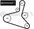 Continental CTAM 6DPK1195K2 Keilrippenriemensatz Keilriemen Satz 