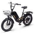 20 Zoll E-Bike 750W E Mountainbike 48V 15Ah Elektrofahrrad 25km/h City ebike