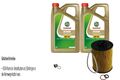 MANN-FILTER Ölfilter 10L CASTROL EDGE 5W-30 M für BMW 6er Cabriolet 650i