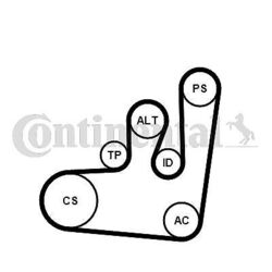 CONTINENTAL CTAM 6PK1145K1 Keilrippenriemensatz für FORD SEAT VW