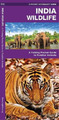 James Kavanagh Waterford Press India Wildlife (Broschüre) (US IMPORT)