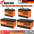 12V 24V 300Ah 200Ah 100Ah LiFePO4 Akku Lithium Batterie BMS für Solar Off-grid