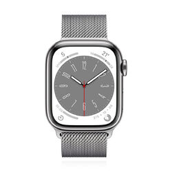 Apple WATCH Series 8 45mm GPS+Cellular Edelstahl Silber ...MwSt nicht ausweisbar