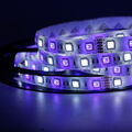 5m LED Strip 12V 24V RGB RGBW RGB+WW dimmbar 4in1 Leds Streifen Wasserdicht IP65