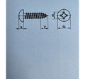 Linsenkopf-Blechschrauben DIN 7981 A2 Form C-H mit Kreuzschlitz Edelstahl