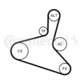 CONTINENTAL CTAM Keilrippenriemen Spannrolle Umlenkrolle 6DPK1195K2