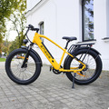 Elektrofahrrad 250W E Mountainbike 26 Zoll E-bike Shimano Pedelec 7 Gänge E-MTB