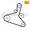 Keilrippenriemensatz CONTINENTAL CTAM 6DPK1195K1 für VW Bora