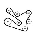 Keilrippenriemensatz CONTINENTAL CTAM 7PK1570K1 für Renault Dacia Megane III
