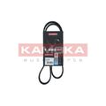 1x Keilrippenriemen KAMOKA 7016055 passend für AUDI BMW SEAT SKODA VW VAG