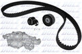 DOLZ Wasserpumpe + Zahnriemensatz KD019 für RENAULT LAGUNA 1 SAFRANE 2 B56F K56F