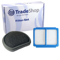 2in1 Filter-Set (HEPA-Filter + Vormotorfilter) für AEG QX9-1-50IB, QX9-1-ALRG