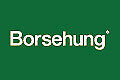 Borsehung B19246 Wellendichtring, Nockenwelle für AUDI,SEAT,SKODA,VW