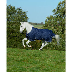 Bucas - PONY Outdoordecke FREEDOM TURNOUT LIGHT