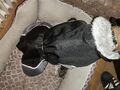 Hundemantel Hundejacke Winter  Große Hunde Gebraucht 