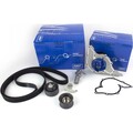 SKF ZAHNRIEMENSATZ + WASSERPUMPE FÜR AUDI A4 A6 A8 SKODA VW PASSAT 3B 2.4 2.8