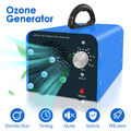 Ozongenerator Ozonisator Ozon Luftreiniger Ozongerät Bausanierung 32000mg/h