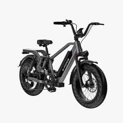 750W 48V E-Bike 20'' Elektrofahrrad 15AH 25AH 95-125km Reichweite E-Mountainbike