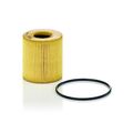 Ölfilter MANN-FILTER HU 711/51 x für BMW CITROËN FIAT FORD JAGUAR MITSUBISHI