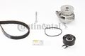 CONTINENTAL CTAM Wasserpumpe + Zahnriemensatz CT846WP2 für SEAT VW