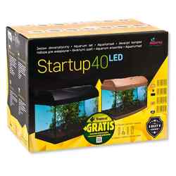 Einsteiger Aquariumset StartUp Set LED 40x25 komplett Nano Glas Becken Diversa