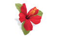 Electra Hawaii Hibiscus Red Handlebar Flower Lenkerblume Lenker Deko Bike Bling