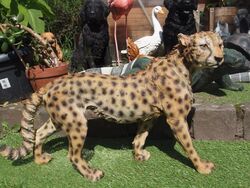 Deko Figur Gepard  Leopard Löwe 66cm naturgetreu Raubkatze Garten Hotant NEUHEIT