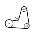 CONTINENTAL CTAM Keilrippenriemensatz 6PK1130K2 für DACIA NISSAN RENAULT