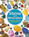 Steine und Mineralien: Entdecken, sammeln und bes... | Buch | Zustand akzeptabel