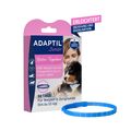 ADAPTIL® Junior Halsband (23,30€/1Stk) Welpen stressfrei ins Leben! Lern Plus