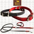 WOZA Set Hundehalsband Echtes Leder WELPEN Lederhalsband Rindlederleine S23671